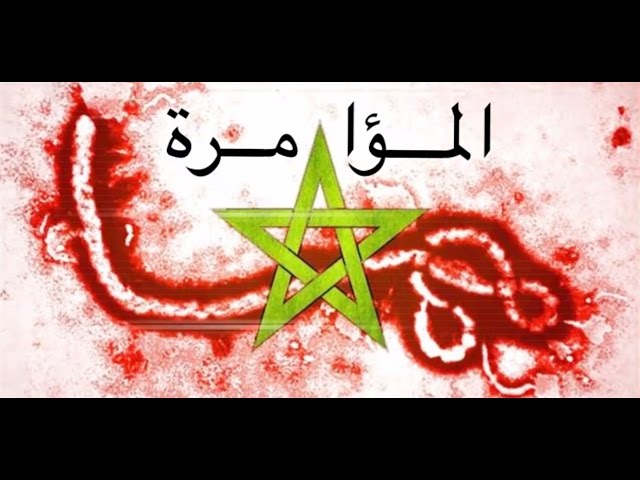 مخطط التقسيم والمؤامرة على المغرب - الشيخ محمد سعيد رسلان