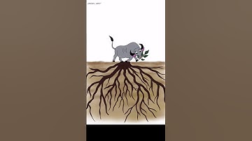 Never give up hope #shorts #shortvideo #animationvideo #nevergiveup #animation