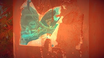 Camera - Tjamahal (official)