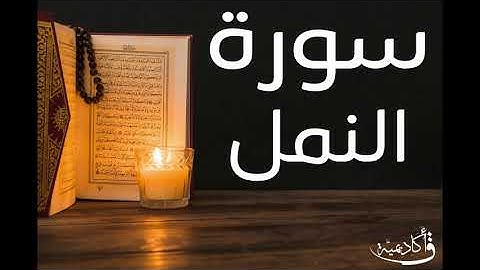 تسجيل خاص ل أكاديمية ق| An-Naml |سورة النمل بصوت الشيخ عبد الرحمن الشحات