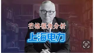 芒格视角分析：上海电力【深度】