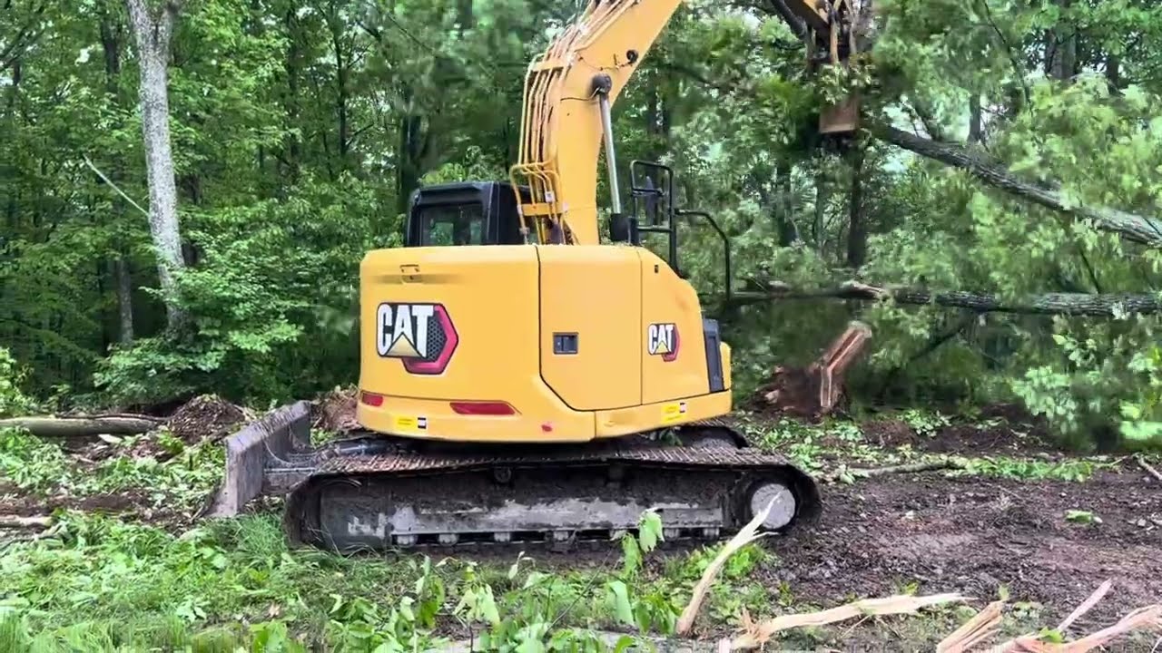 Cat 315 taking down trees#farmliving #excavator #firewood