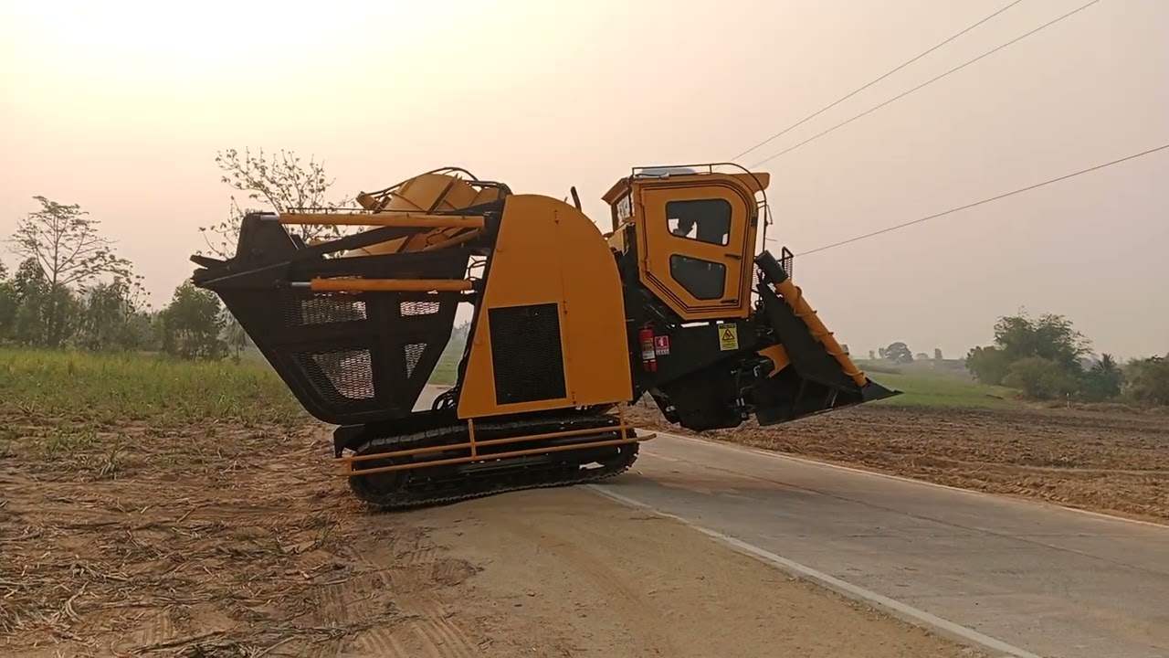 ทดลองเดินบนถนนลาดยาง