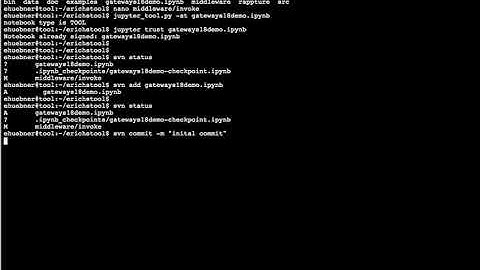 Svn Commit