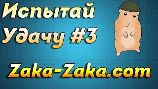 Zaka-Zaka.com - Испытай Удачу #3