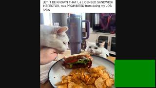 Dank meme compilation #5089 😂
