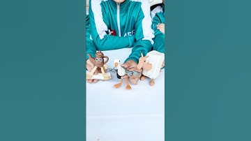 Khi Squid Game Có Trò Nặn Đất Sét Brainrot P3 | Sheep #shorts