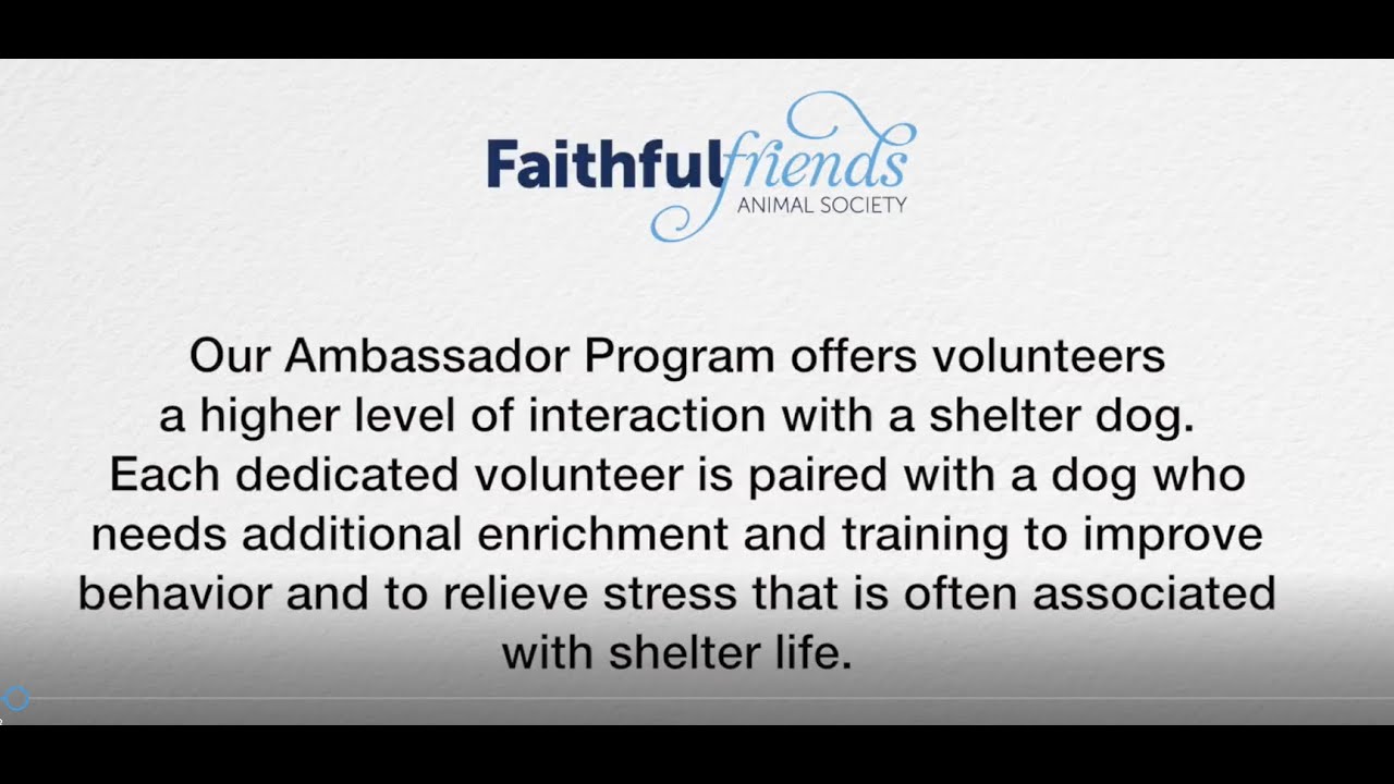 Dog Ambassador Program YouTube