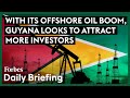 Guyana touts itself as capitalist paradise  for more than just big oil