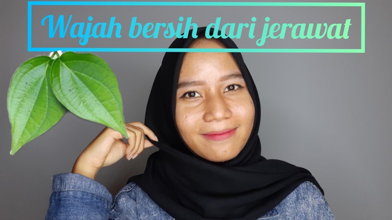 Ngilangin Jerawat dan Bekasnya Pakai Air Rebusan Daun Sirih 