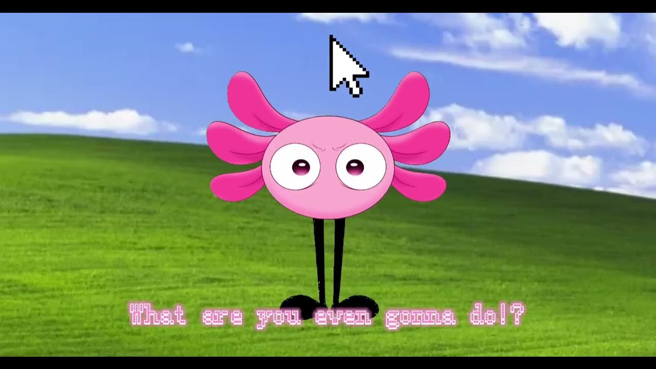 Pets for Kinito (KINITO.PET Animation) YouTube