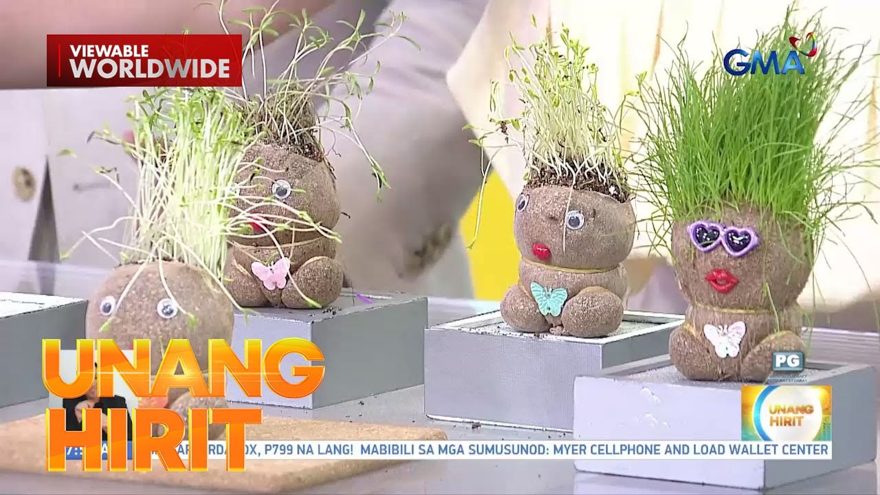 UH Kiddie Time— Grass head doll plant | Unang Hirit