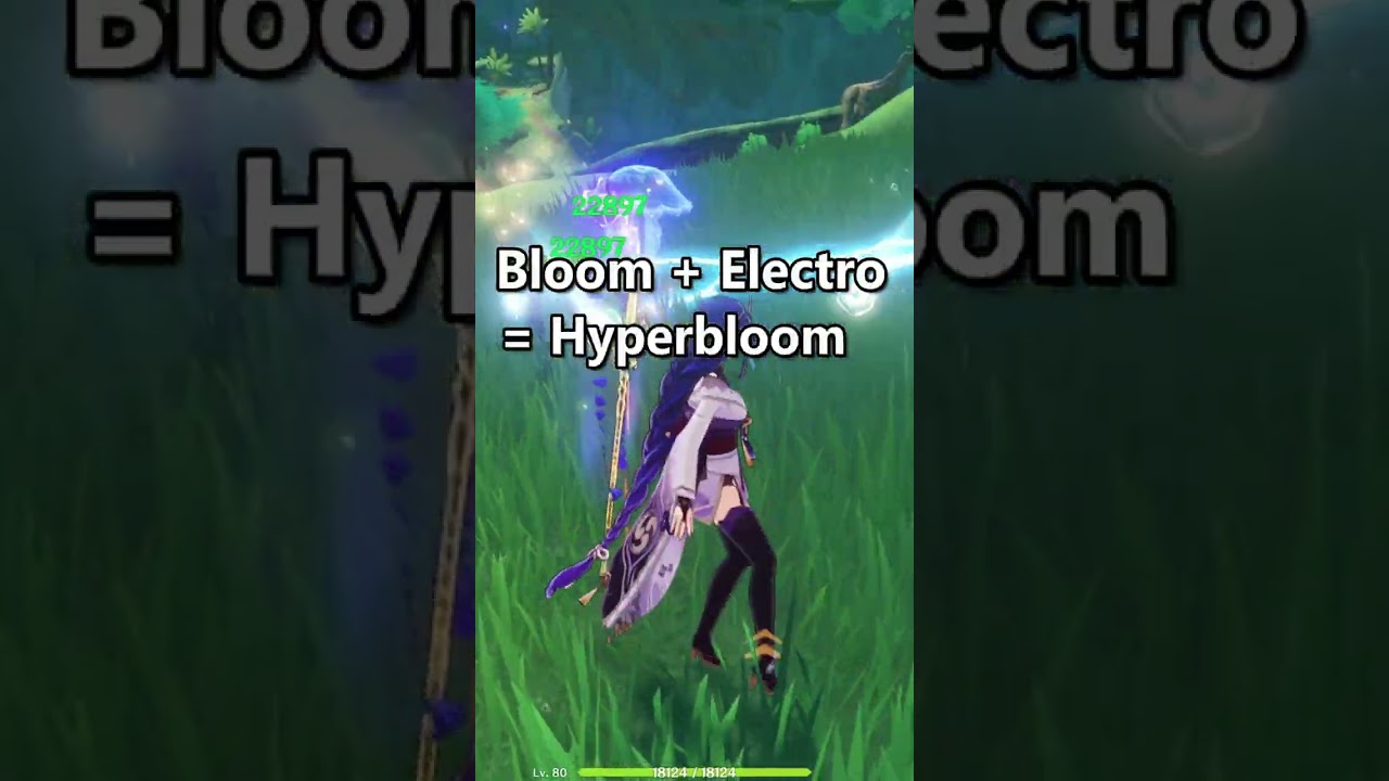 Dendro Reactions FOR BEGINNERS (Hyperbloom)