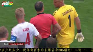 丹麦2018年获得世界杯冠军