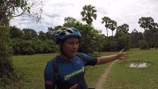 Water  Buffalo In Cambodia Today Cycling With CyclePath Cambodia​