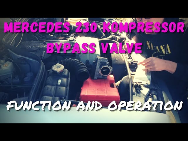 Mercedes Kompressor removal Eaton M62 supercharger maintenance bearings  grase ,oil change, compresor 