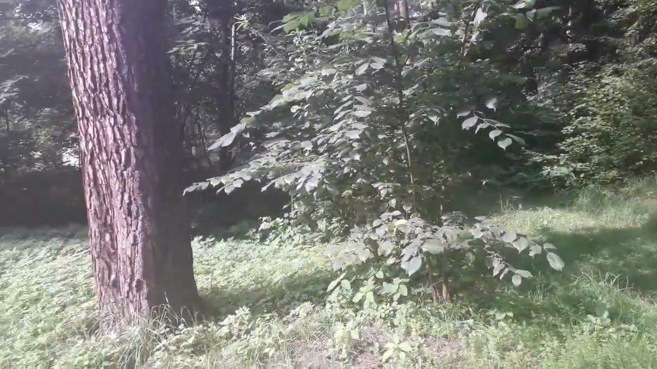 Правильный ответ на вопрос А Чего ты в жизни добился?