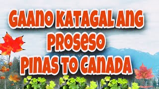 Gaano Katagal Ang Proseso Pinas To Canada | Work Permit | LMIA JOBS