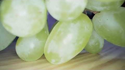 stock video macro close up view of grapes berries in water splashes bunch of green grape