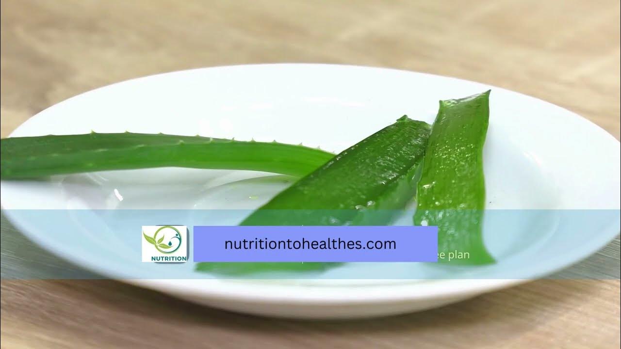 aloe vera kaise lagaye aloe vera benefits for health aloe vera for