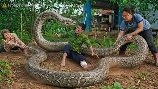 Celebrity 72 Hours of Horror - Giant Python Surrounds a Man in the Garden, Two Girls Rush to Rescue Him Profile