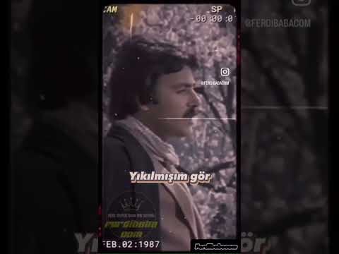 Ferdi Tayfur Senin