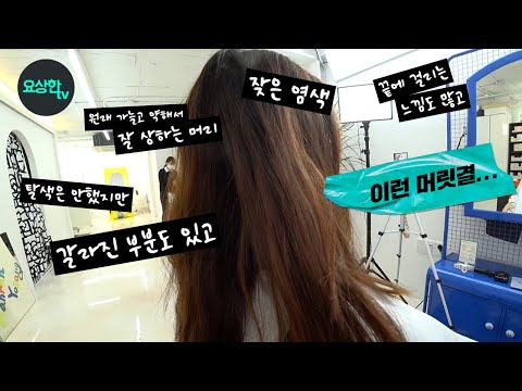 파마를 했는데 오히려 머릿결이 좋아졌다...상한머리 파마 튜토리얼 (드라이 한듯한 자연스러운 <strong>C컬펌</strong>)_요상한,TV