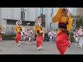 第1回千住宿阿波おどり　いなせ連組踊り「女十八番～女奥の細道～チャイロン～男暴れ～ヤシマ打ち」