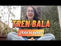 ‼️RESEÑA TREN BALA (BULLET TRAIN) + Comentario psicológico xD