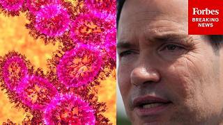 Rubio: This Is What We're Doing To Protect The U.S. From Ebola