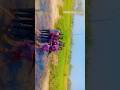 ❤️🥰...#shortfeed #ytshorts #yt #holi#holispecial#ytfeed #badrikidulhaniya#cousins #masti #fun#sister