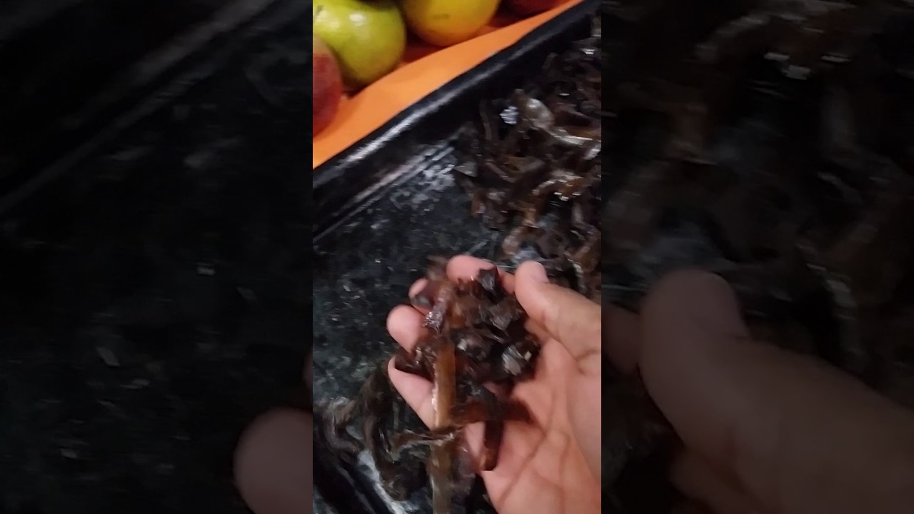 Como fazer pururuca com a pele do bacon. YouTube Como fazer pururuca com a pele do bacon. YouTube