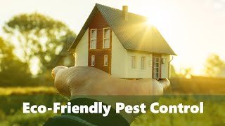 Eco Friendly Pest Control: Make the Environmentally Conscious Decision
