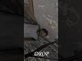 #Granny4 #Granny4Gameplay #GrannyHorrorGame #GrannyChapter4 #GrannyGame #HorrorGame #ScaryGame #Mobi