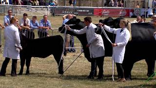 Pencampwriaeth Parau Biff | Beef Fitzhugh Championship