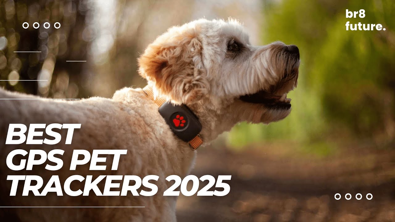 Best GPS Pet Trackers 2025 🐾🐶 How to Choose a Tracker to Keep an Eye on ...