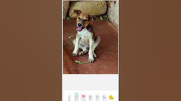 New miui gallery editor look🔥#hyperos #miui #galleryeditor #newlook