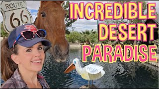 Quirky Paradise Packed With Antiques, Rescue Animals and Private Lake in the Desert Outside Barstow
Welcome to Wonderhussy Adventure #863
Date of adventure: 3/19/2025
Visiting the owners of Yermo’s Thrift ’N’ More at their AMAZING desert paradise home filled with crazy antiques and rescue animals, including Clyde the horse and Cue the dog. This is HANDS DOWN the most beautiful and interesting desert homestead I’ve ever visited!
Check out my website:
https://www.wonderhussy.com
Support me:
https://www.patreon.com/wonderhussy
Help fuel my next trip:
https://www.paypal.me/wonderhussy
or
https://www.cash.app/$Wonderhussy
Buy me dinner:
https://www.amazon.com/hz/wishlist/ls/2T46RDCX54KLD?ref wl_share Bitcoin link:
3H4kzyPxMEwNGNgntSpCQGDEj6xMADUUYC
Merch:
https://wonderhussy-merchandise.myspreadshop.com
Recommended Gear:
https://www.amazon.com/shop/wonderhussyadventures
Calendars:
https://www.createphotocalendars.com/Shop/WonderhussyAdventures
Credits:
Theme song by Michael Saint-Leon
http://www.switchyardstudios.com
Fluffing a Duck by Kevin MacLeod is licensed under a Creative Commons Attribution 4.0 license. https://creativecommons.org/licenses/by/4.0/
wonder hussy, wonderhussie, wonder hussie, wonder hussey, wonderhussey Quirky Paradise Packed With Antiques, Rescue Animals and Private Lake in the Desert Outside Barstow