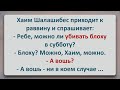 ✡️ Хаим Шалашибес и Вошь! Еврейские Анекдоты! Анекдоты про Евреев! Выпуск #142