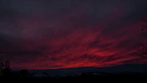 تلاوة عذبة❤️ وقراءة تطيب بها القلوب❤️عطر مسامعك مع القارئ احمد حمادي