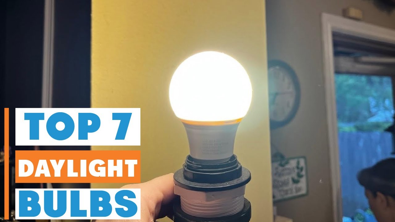 Top 7 Best Daylight LED Bulbs for Home and Office Lighting - YouTube