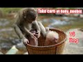 Về Làng Sau Những Ngày Giải Cứu Khỉ Con • Take Care Of Baby Monkey - Part end