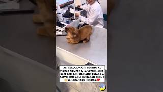 Así reacciona al ir a la Veterinaria❤️🥺