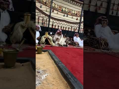 ربابة هجيني الشمال