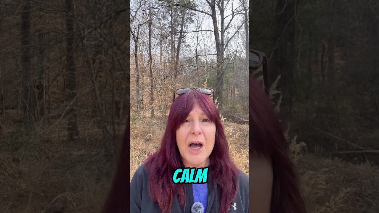 Vagus Nerve reset for a calm nervous system