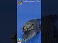 What Happens When You Shoot a Crocodile? 😱🐊 | Dark Side of History
