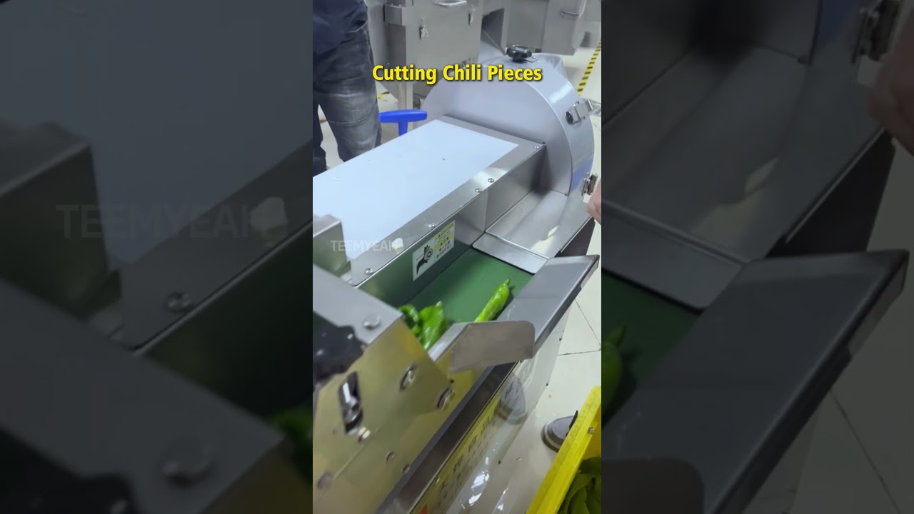 Fully Automatic Chili Ring Cutting Machine 801A Teemyeah Machinery