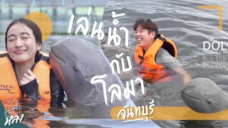 ใครก็ "กอดโลมา"ได้ที่ Oasis Sea World จันทบุรี | อาสาพาไปหลง