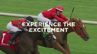 2023 Live Racing