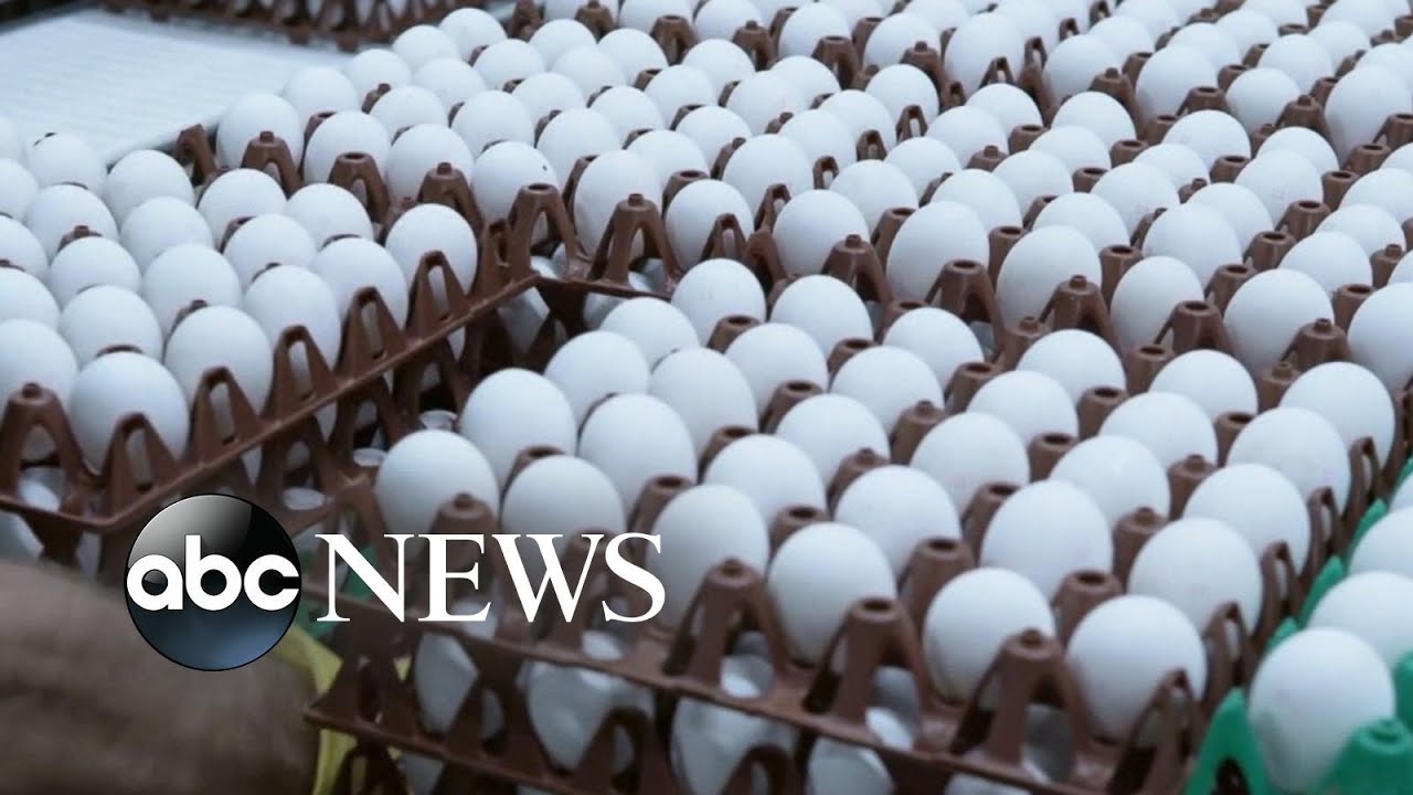 Egg prices skyrocket